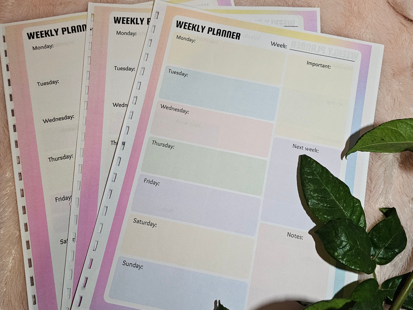 Rainbow Weekly Planner Sheet