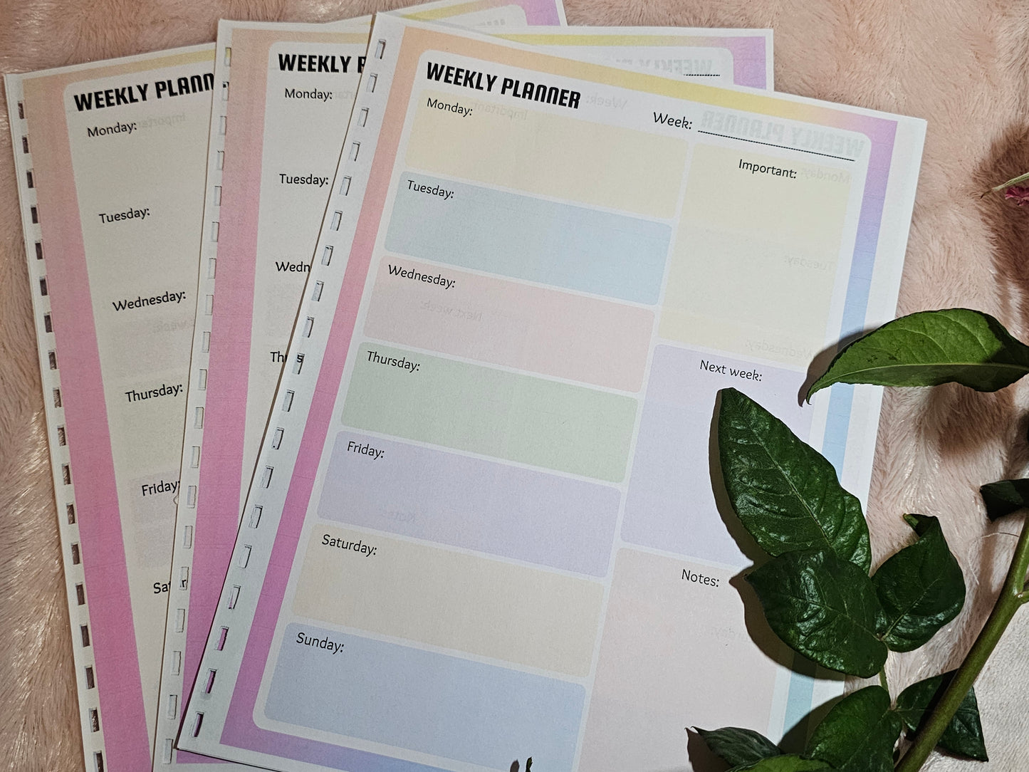 Rainbow Weekly Planner Sheet