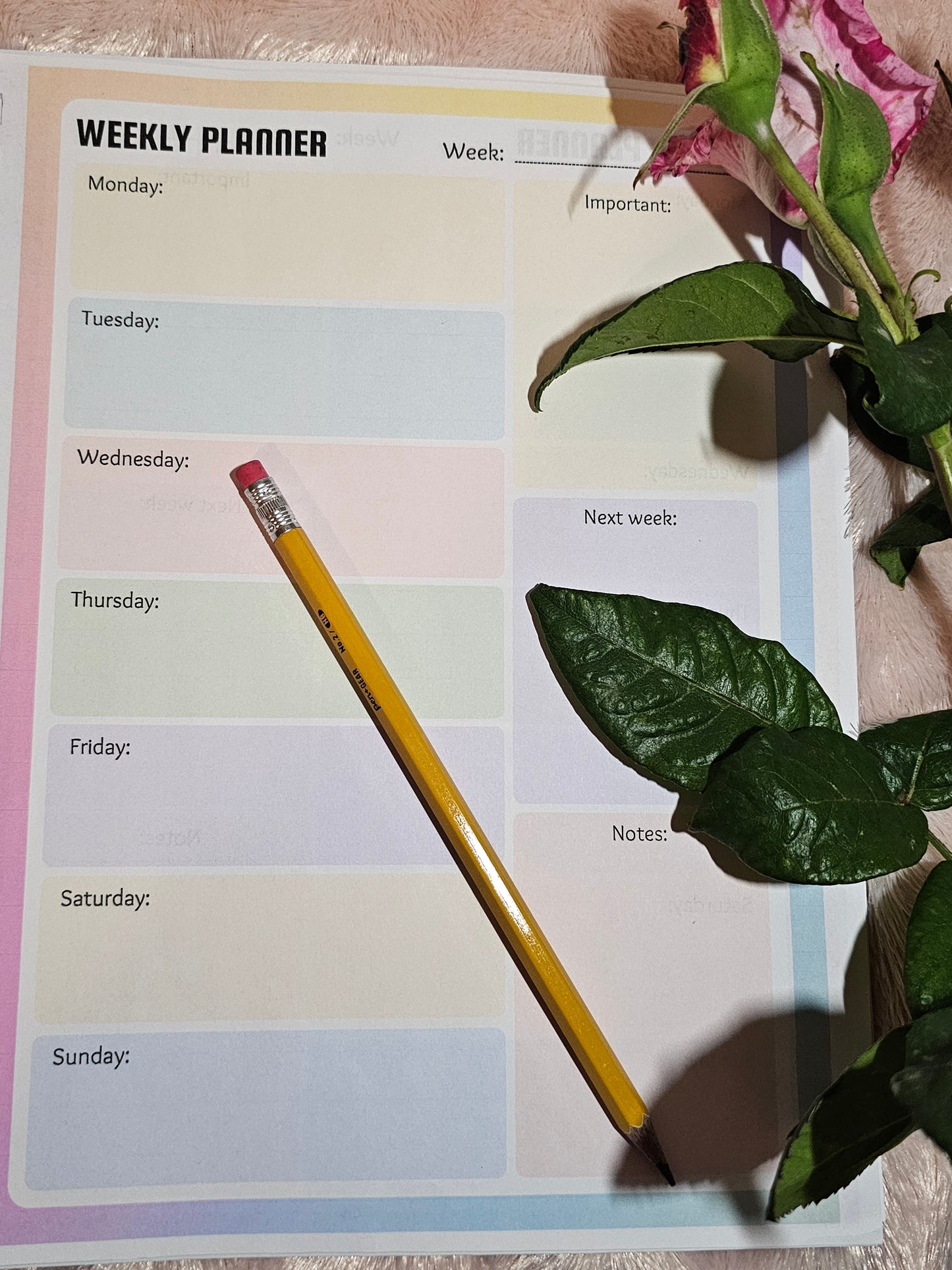 Rainbow Weekly Planner Sheet