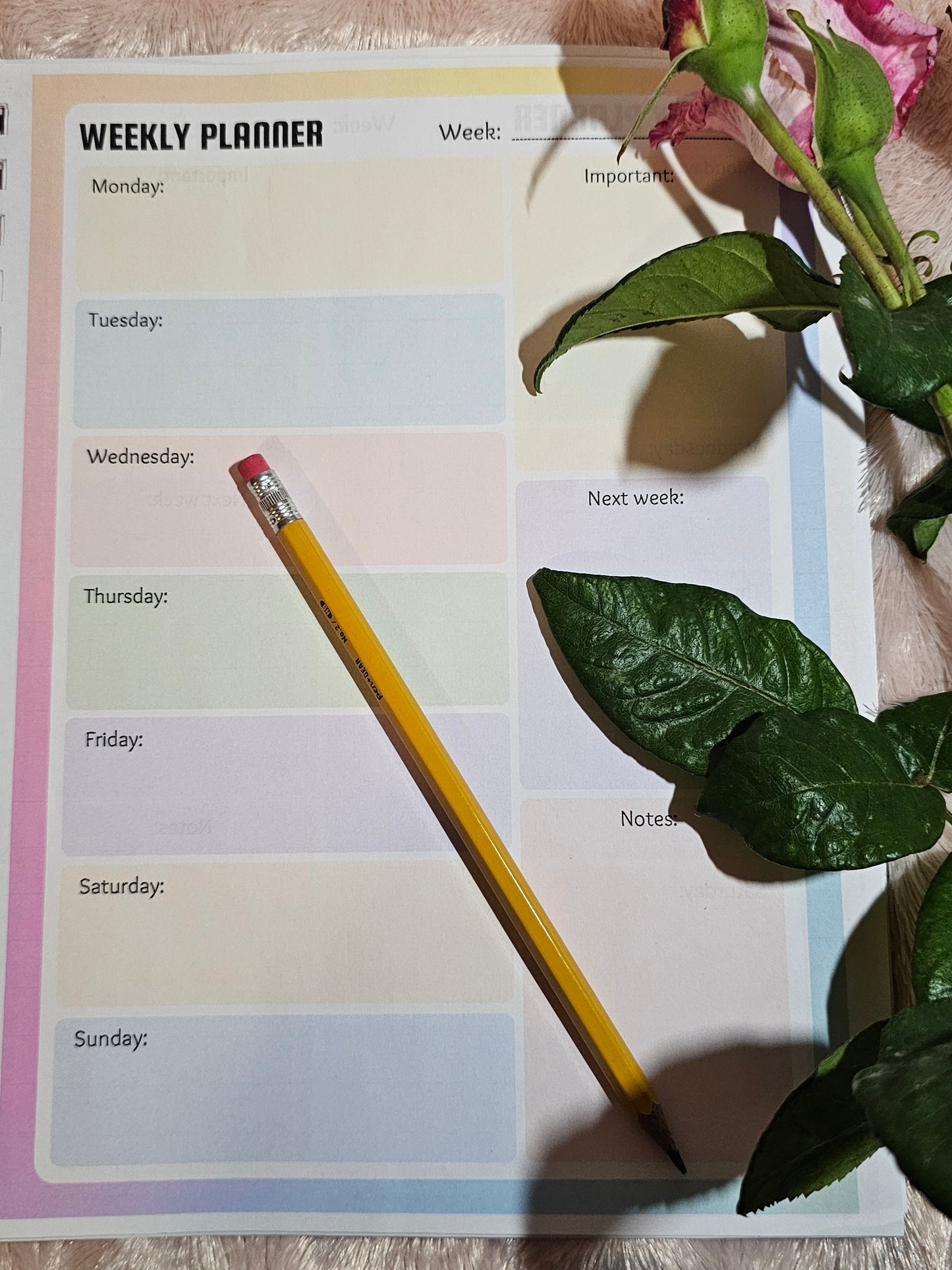 Rainbow Weekly Planner Sheet