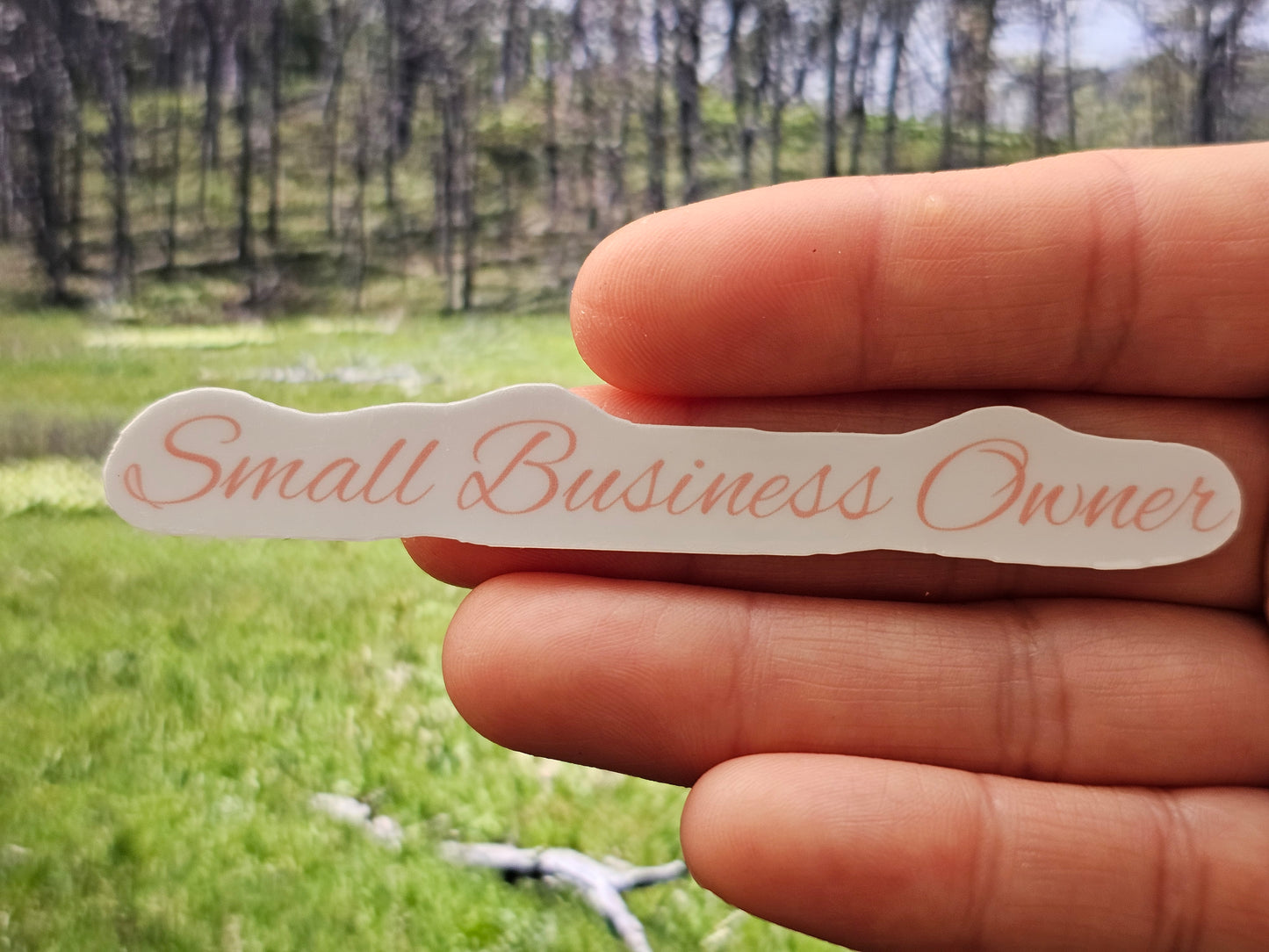 Small Business Owner Waterproof Cup/Tumbler/Window Vinyl Sticker