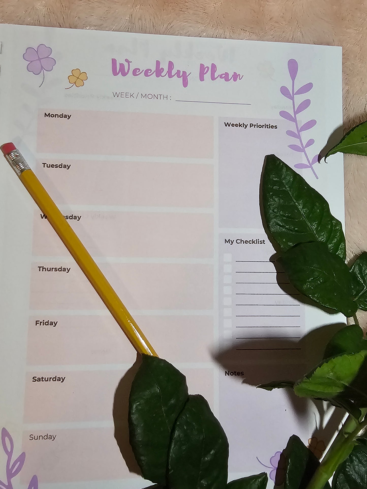 Weekly Plan Sheet
