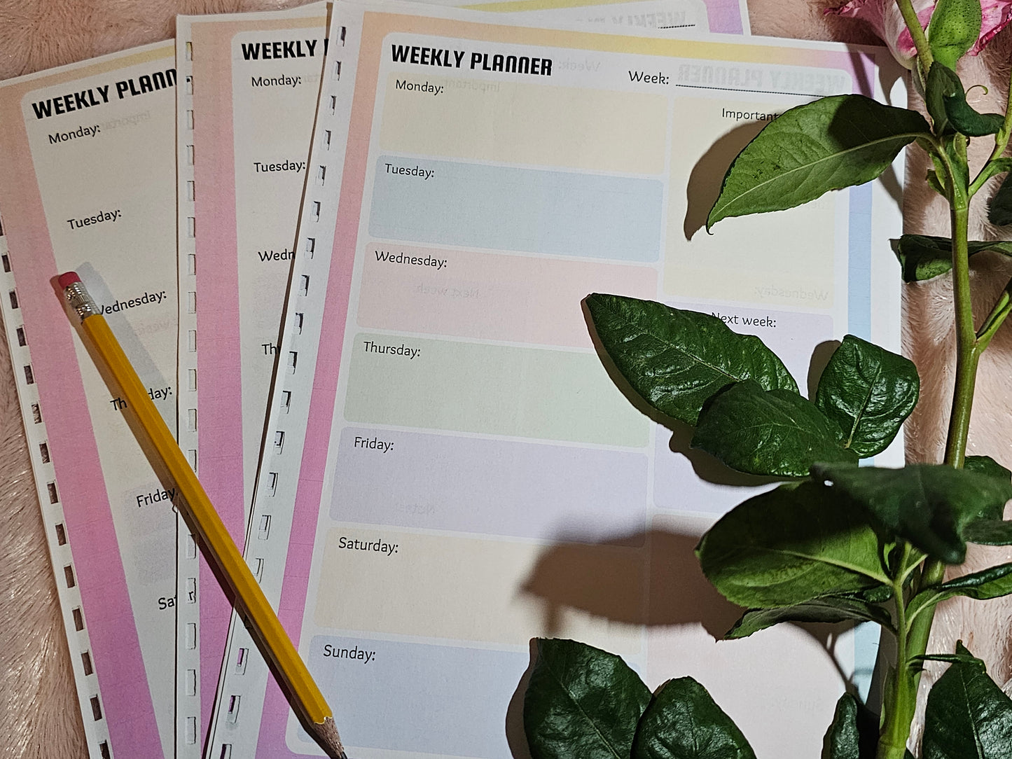 Rainbow Weekly Planner Sheet